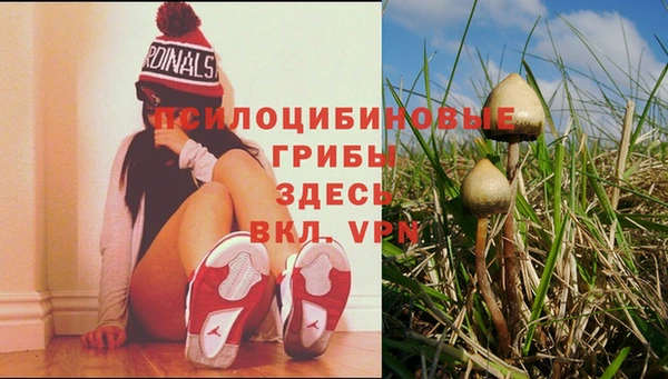 гидра Богданович