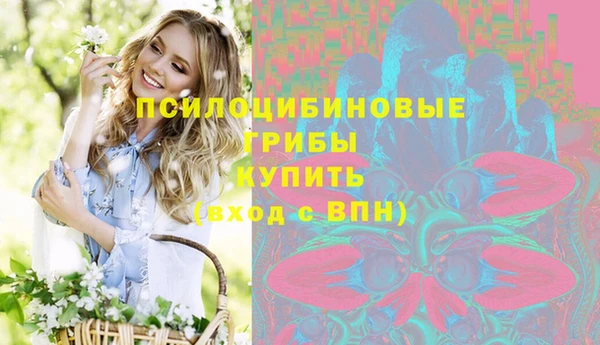 сатива Бугульма