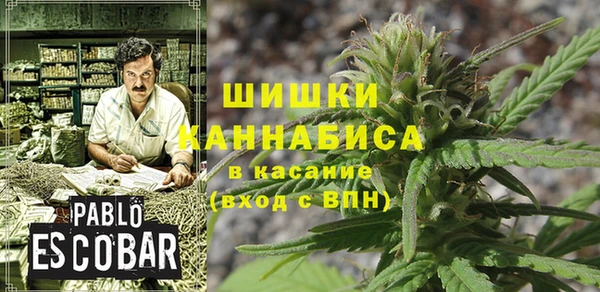 сатива Бугульма