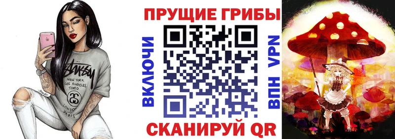 купить наркотик  Щёлково  Галлюциногенные грибы ЛСД 
